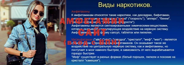 амф Алексин