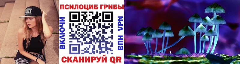 блэк спрут зеркало  Циолковский  Псилоцибиновые грибы ЛСД 